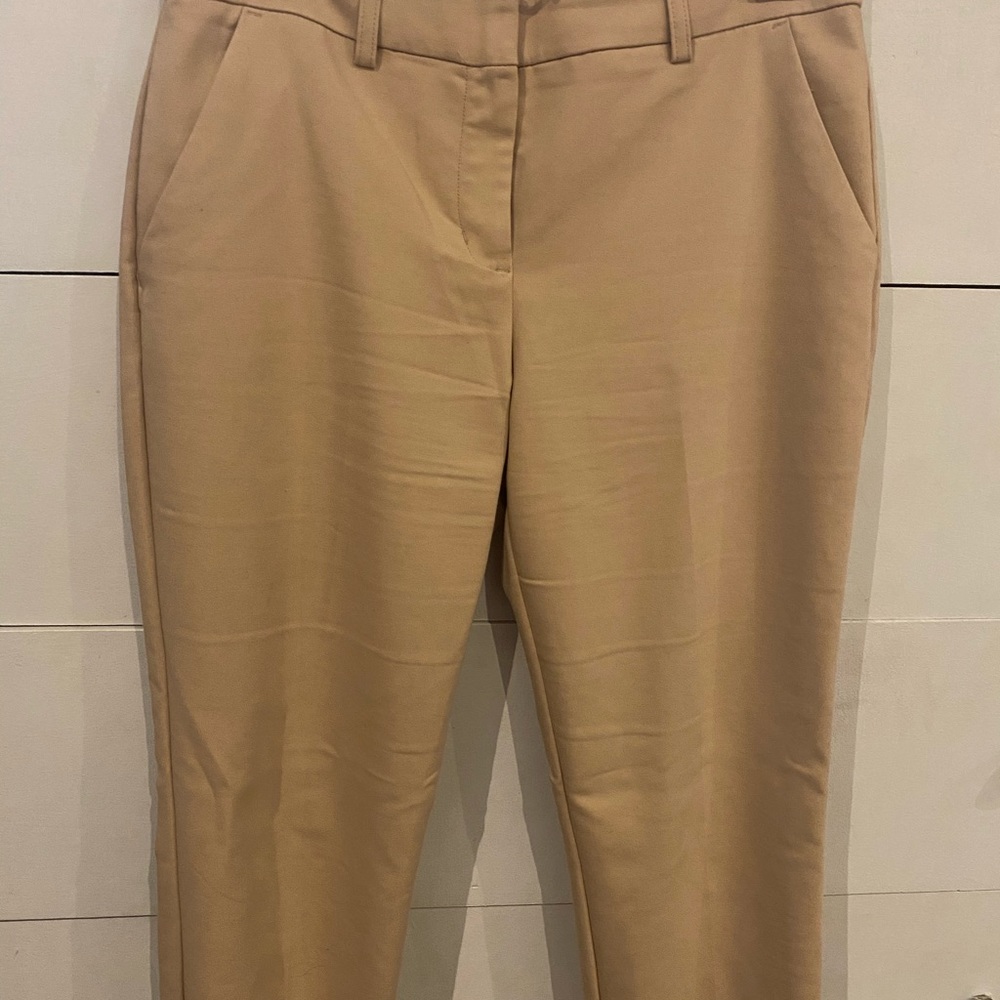 Express | Columnist Ankle Dress Pant